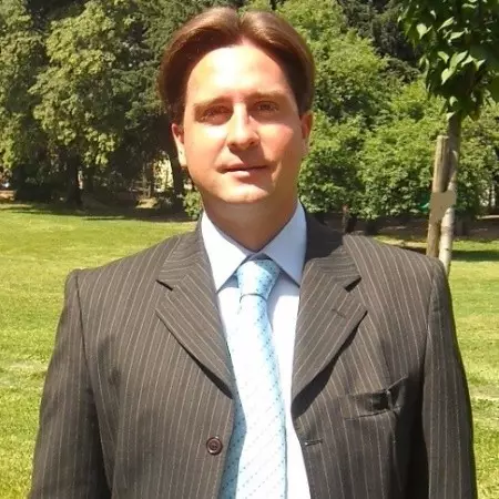 Ing. Fabio Manenti